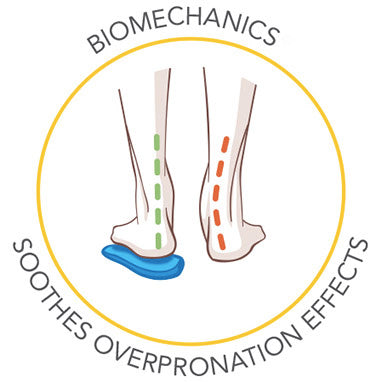 Scholl Biomechanics -pohja