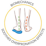 Scholl Biomechanics -pohja